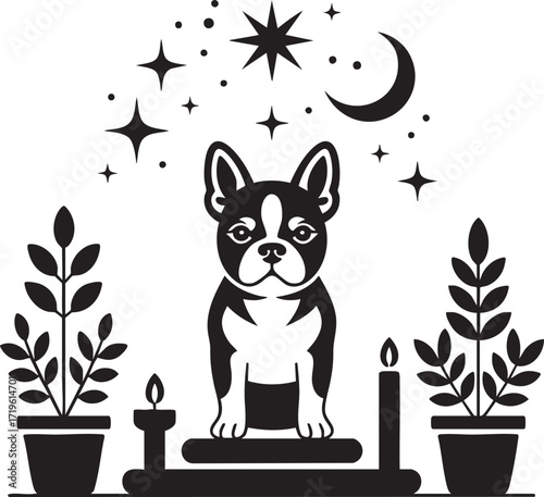 Boston Terrier with Celestial Elements and Plants