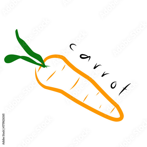 illustration of a carrot