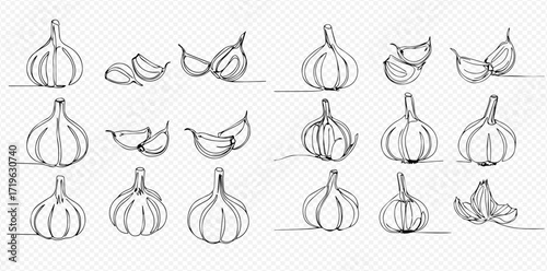 Line art illustration of garlic bulbs and cloves, arranged in a grid pattern.