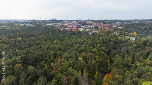 Podobny obraz