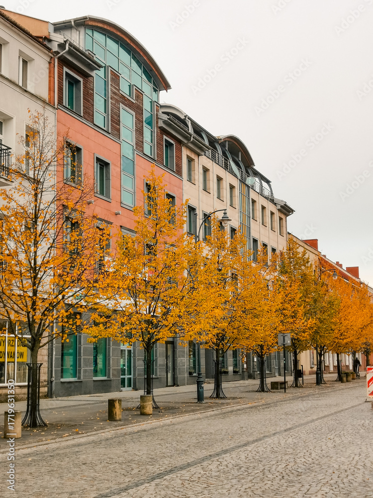 Fototapeta premium Lipowa Street in Białystok, Poland, with beautiful lime trees in autumn colors, historic buildings and calm city atmosphere.