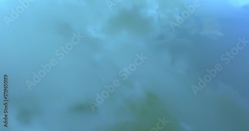 Reflections on the water of a pond. Ideal for textures, patterns and backgrounds.