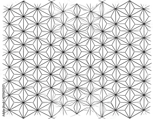 Intricate geometric pattern