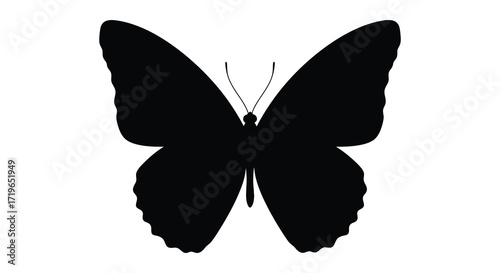 Elegant black butterfly silhouette isolated on for design projects isolated on white background