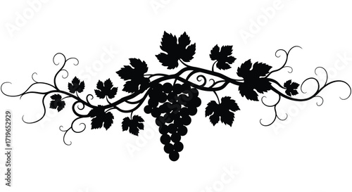 Elegant black silhouette of grapes and vine leaves decorative element for design projects isolated on white background