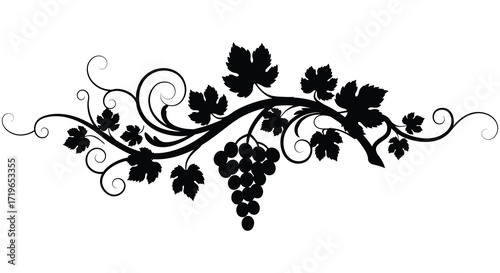 Elegant black silhouette of grapes and grapevines decorative flourish ornament isolated on white background