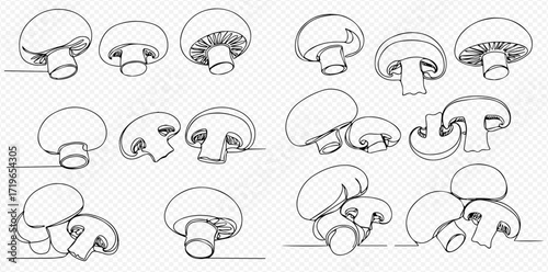 Line art illustration of various mushroom arrangements and perspectives on a transparent background.