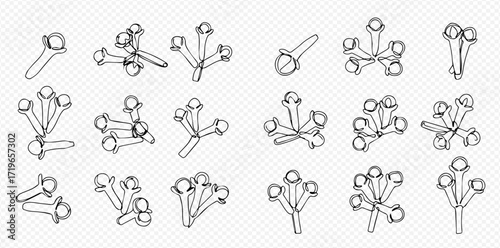 Illustration of clove spice buds in various arrangements, showcasing their shape and structure.
