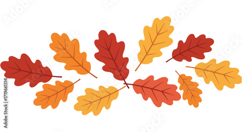 Autumn oak leaves scattered display warm fall colors decoration element isolated on white background