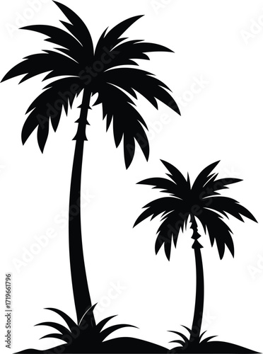 silhouette of palm trees