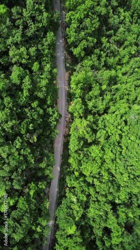 Drone top down view of a narrow winding road cutting through dense green forest in spring Serbian mountains. Vertical 4k footage