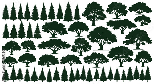 Collection of diverse evergreen and deciduous trees in silhouette.