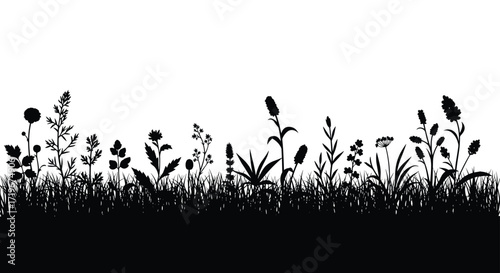 A silhouette of various wildflowers and grasses creating a natural border.