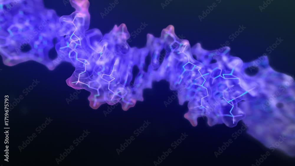 Transparent DNA reveal – medical animation of molecular structure