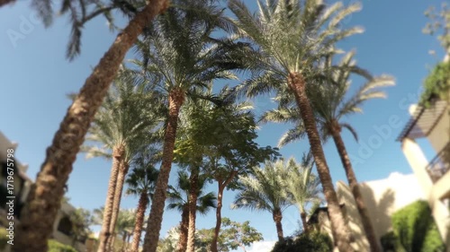Female tourist vacationer walking in beach dress on sunny Egyptean resort