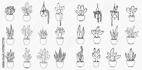 Collection of hand-drawn cacti and succulent plants in pots, some hanging, arranged in a grid.