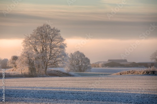Cotswolds winters morning