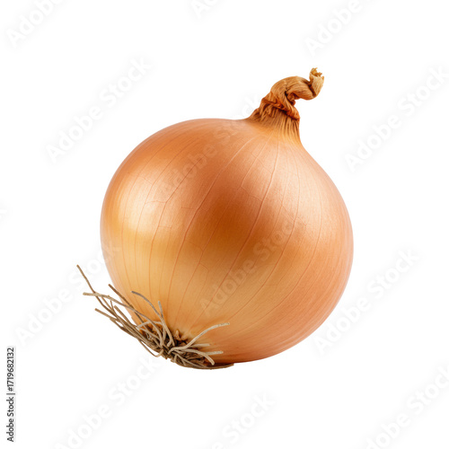 Wallpaper Mural A single, perfectly spherical, unpeeled yellow onion with delicate papery golden-brown skin and dried roots, against a transparent studio background, Concept of pristine freshness and natural Torontodigital.ca