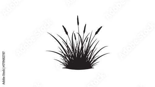 Silhouette of grass and reeds Black and white illustration Nature vector graphic Simple minimalist design Isol