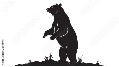 Grizzly bear silhouette standing on hind legs Wild animal vector illustration Black and white design Isolated 
