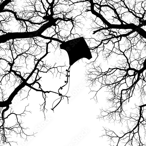 Black kite silhouette caught in bare tree branches isolated on white background silhouette