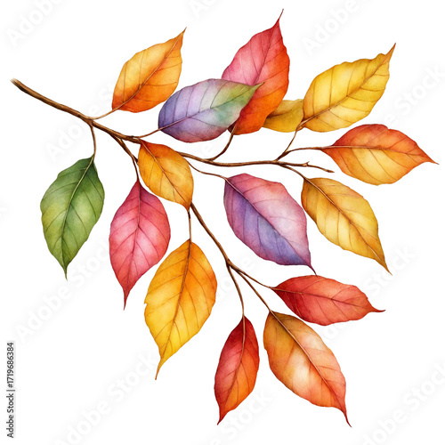 Watercolor autumn branch with colorful fall leaves illustration