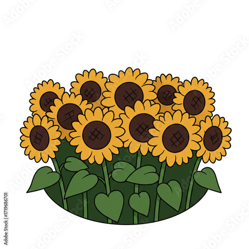 Sunflower field blooming summer illustration with yellow flowers