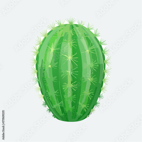 Kleiner grüner Kaktus
