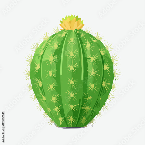 Kleiner grüner Kaktus