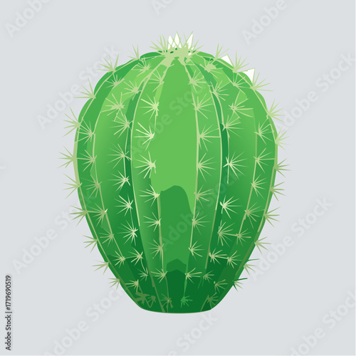 Kleiner grüner Kaktus