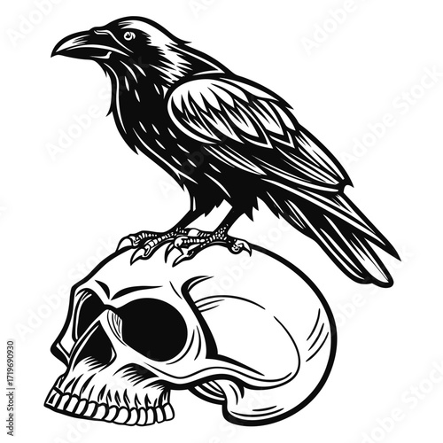 Raven Sitting on a Detailed Human Skull Illustration
