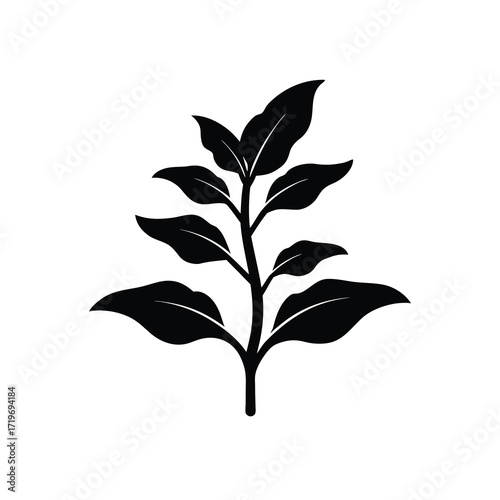 Green tobacco seedling silhouette vector illustration