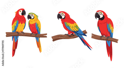Three pairs of colorful macaws perched on branches in a tropical jungle.
