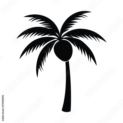Coconut branch part silhouette vector illustration