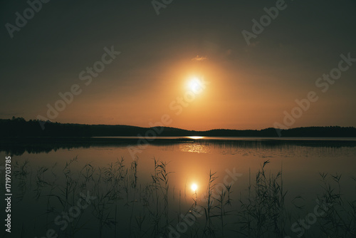 Sunrise at the lake with reeds and forest reflections in golden morning light