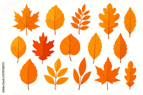 Collection of various autumn leaves in warm red and orange hues