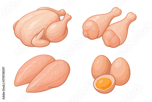 Various raw chicken cuts and eggs illustrated in simple style