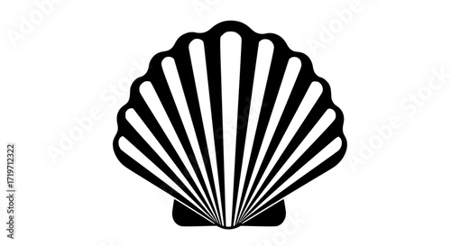 Sea shell natural curve black white icon