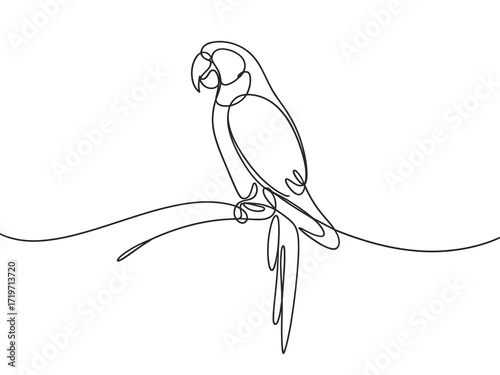 vector illustration of a parrot