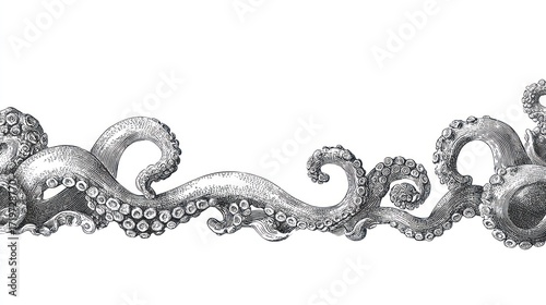 Ornate octopus tentacles border