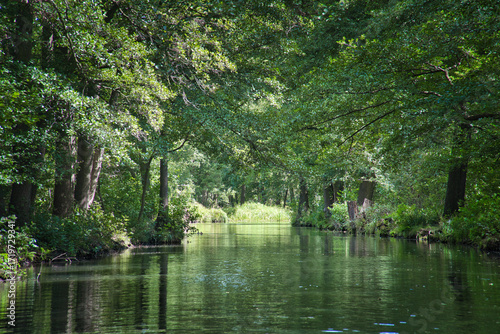 Idyllic river in the Spreewald with reflections in the clear water