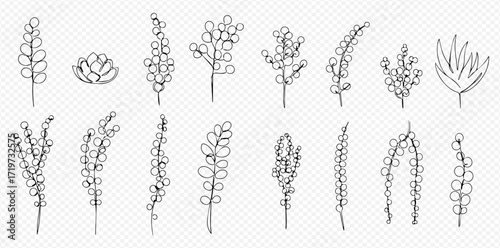Collection of minimalist line art drawings depicting various succulent plants and leafy stems.