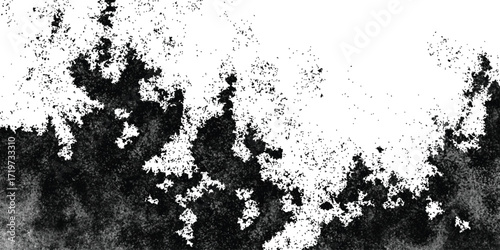 Abstract black and white fractal texture with organic ink blot pattern and granular dispersion on white background.