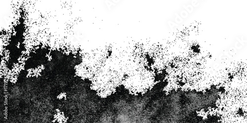 Abstract black and white fractal texture with organic ink blot pattern and granular dispersion on white background.