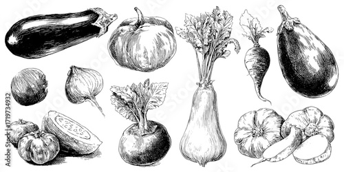 A set of hand-drawn, sketch-style vegetables, isolated on a transparent background. Includes eggplant, radish, and zucchini. Ink and pencil sketches, rustic and natural botanical illustrations of the 