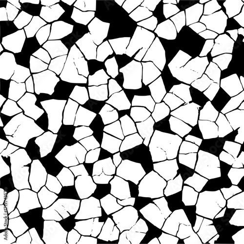 A black and white abstract pattern of cracked pieces creating a mosaic like visual representation