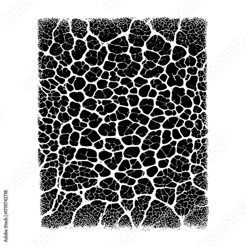 Abstract black and white pattern resembling cracked earth or a cellular structure with irregular shapes