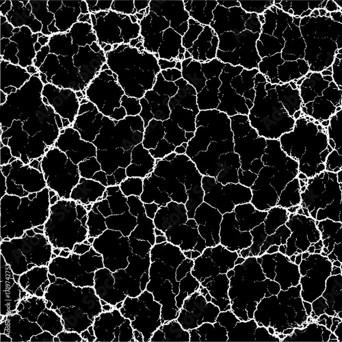 Detailed black and white image showing a network of cracks or fissures across the entire surface area