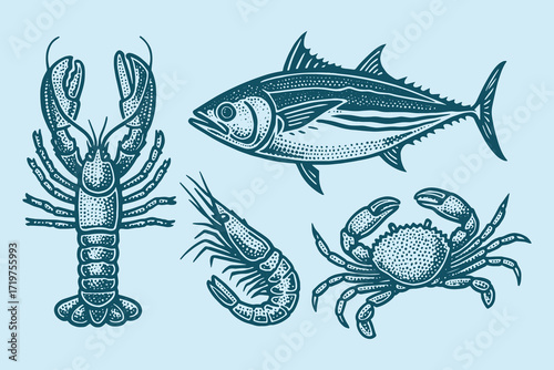 Lobster Tuna Shrimp Crab vintage engraving vector illustration