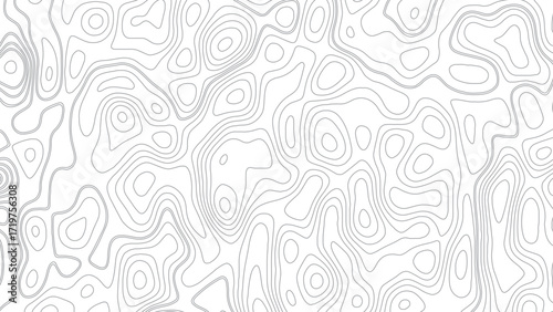 topographic line contour map background, geographic grid map, vector illustration